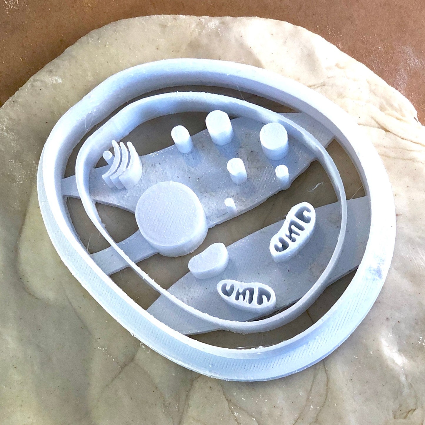 Bacteria - Cookie Cutter - Cute Cutter - Biscuit - Fondant - Clay cutter - Dough - One of a kind