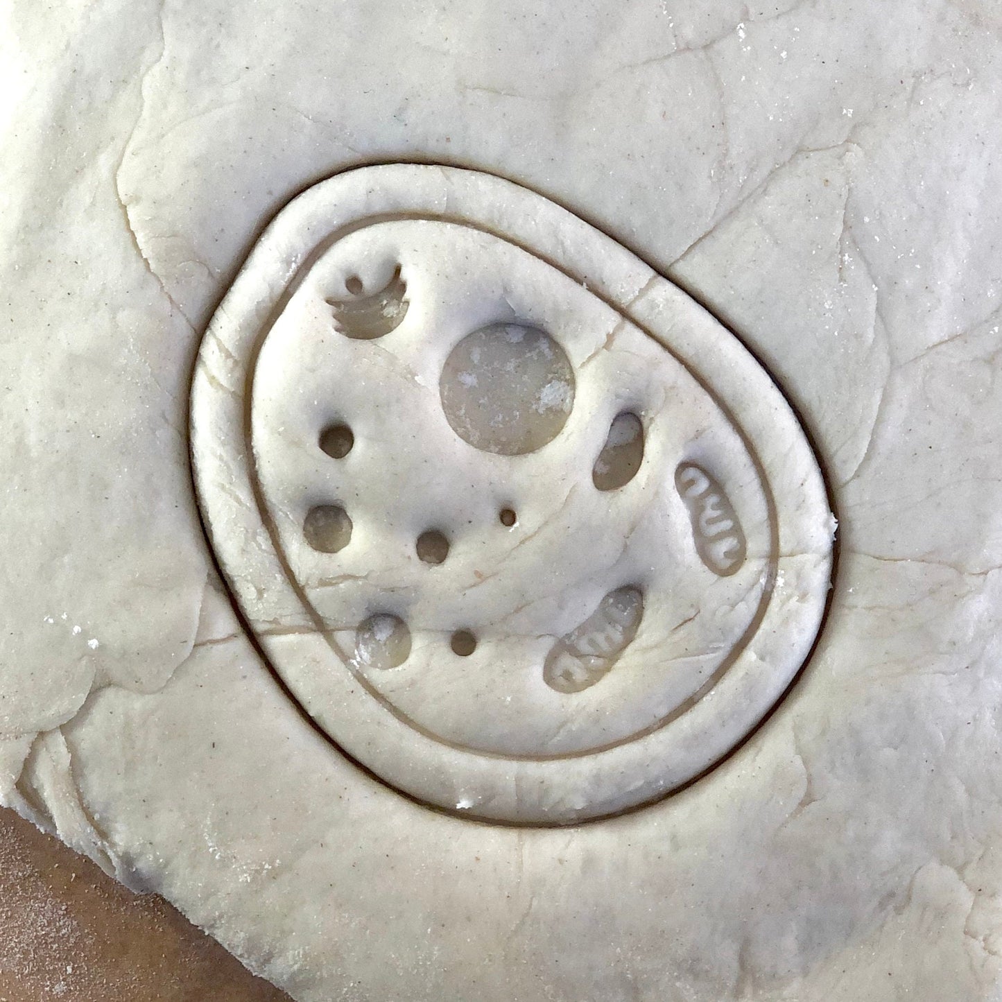 Bacteria - Cookie Cutter - Cute Cutter - Biscuit - Fondant - Clay cutter - Dough - One of a kind