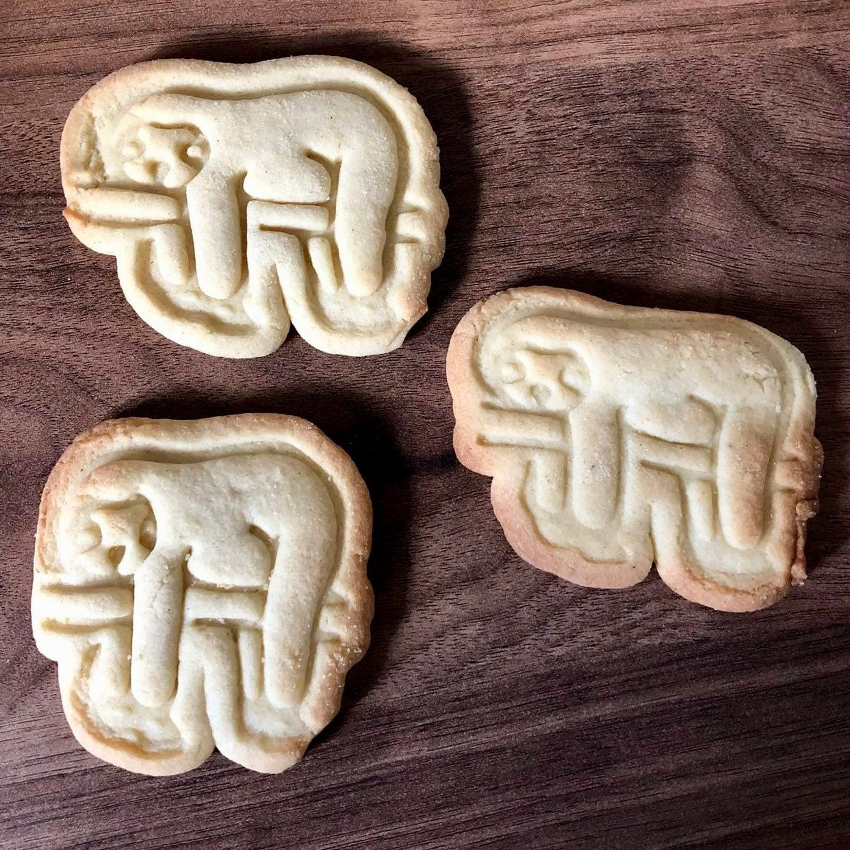 Sloth - Cookie Cutter - Cute Cutter - Biscuit - Fondant - Clay cutter - Dough - One of a kind