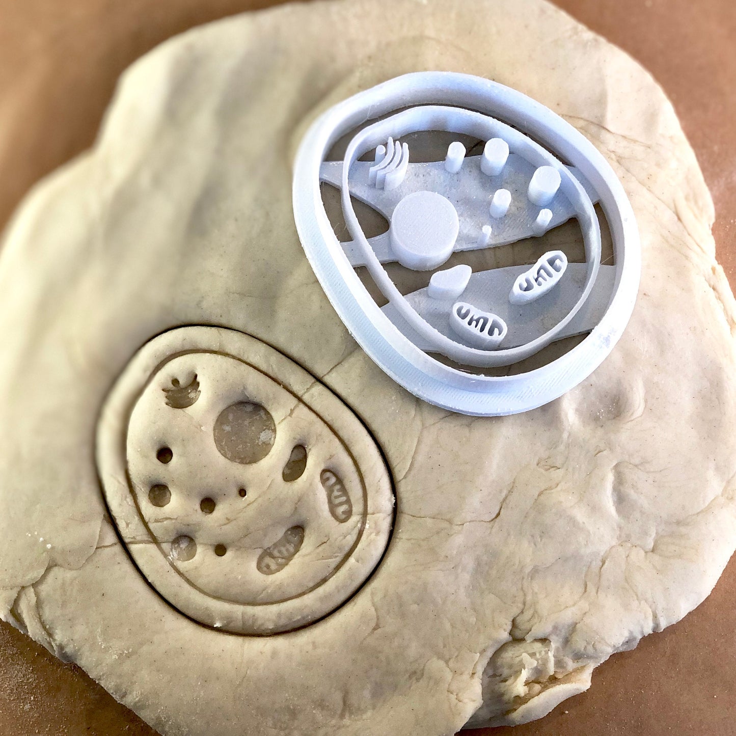 Bacteria - Cookie Cutter - Cute Cutter - Biscuit - Fondant - Clay cutter - Dough - One of a kind