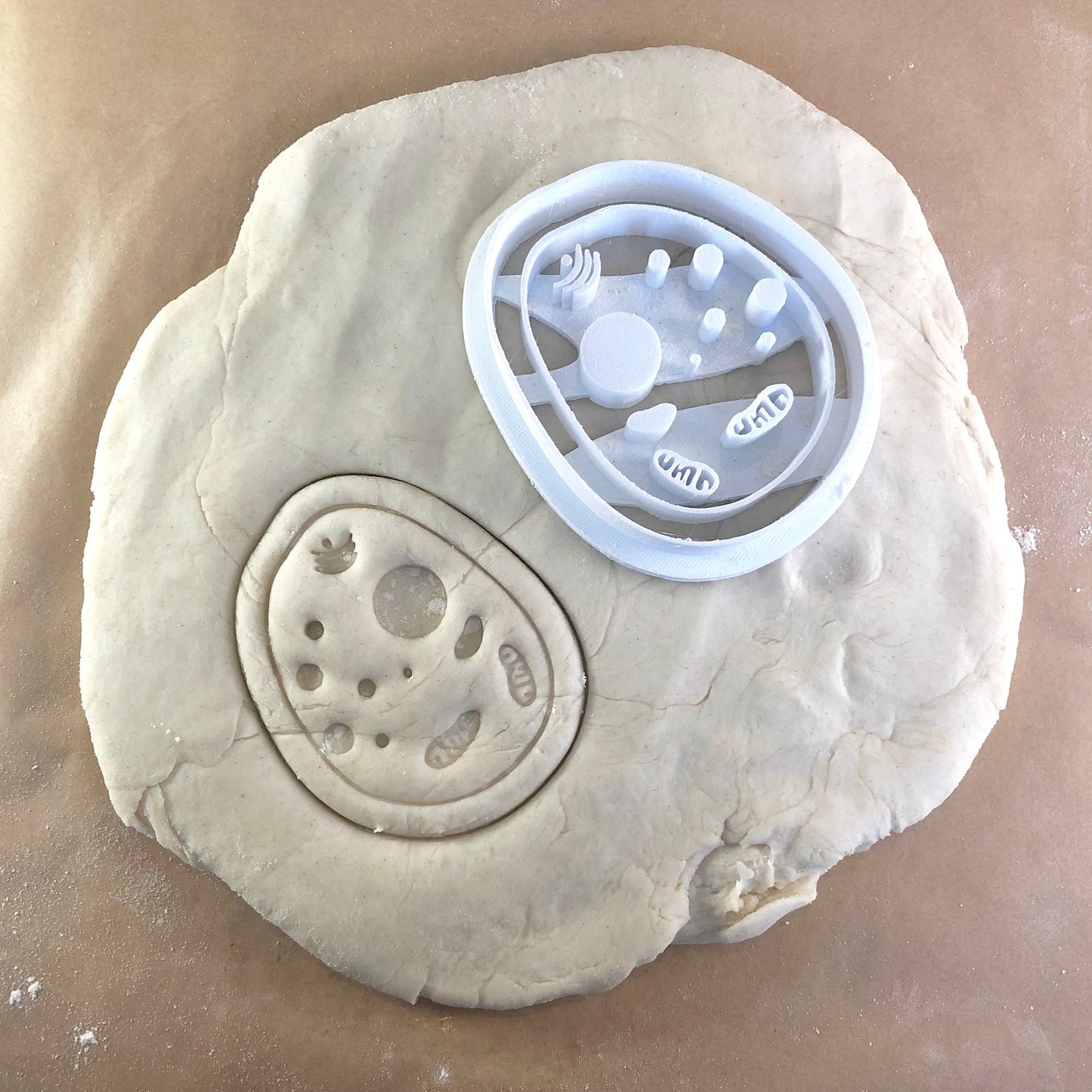 Bacteria - Cookie Cutter - Cute Cutter - Biscuit - Fondant - Clay cutter - Dough - One of a kind