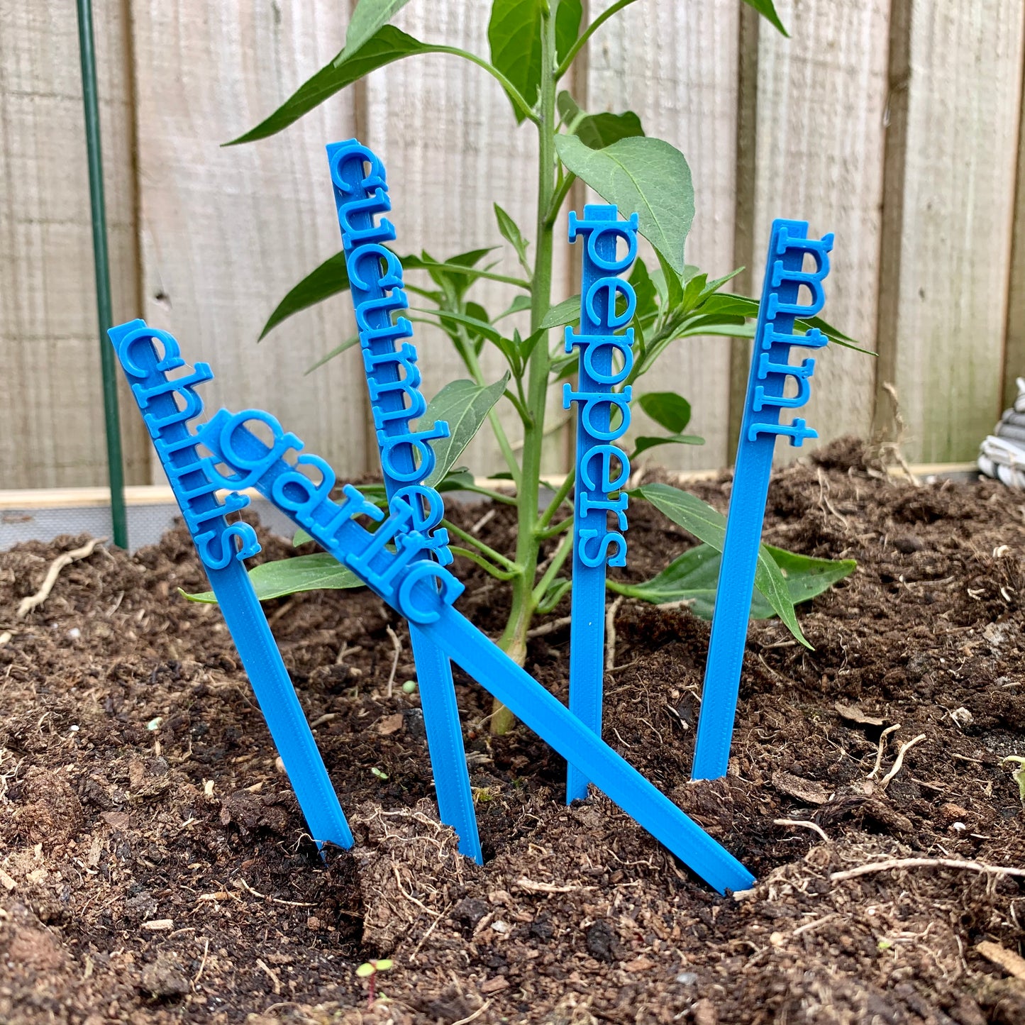 Garden Vegetable Markers - Name Stakes Sticks - 3D Printed - Planter - Flower - Seed Herb - Grow your own - Personalised - Plant Accessories