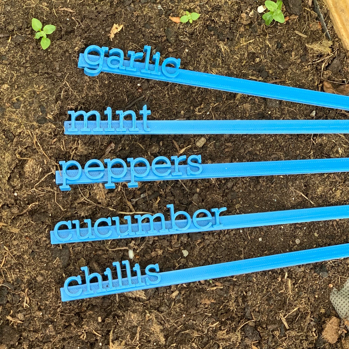 Garden Vegetable Markers - Name Stakes Sticks - 3D Printed - Planter - Flower - Seed Herb - Grow your own - Personalised - Plant Accessories