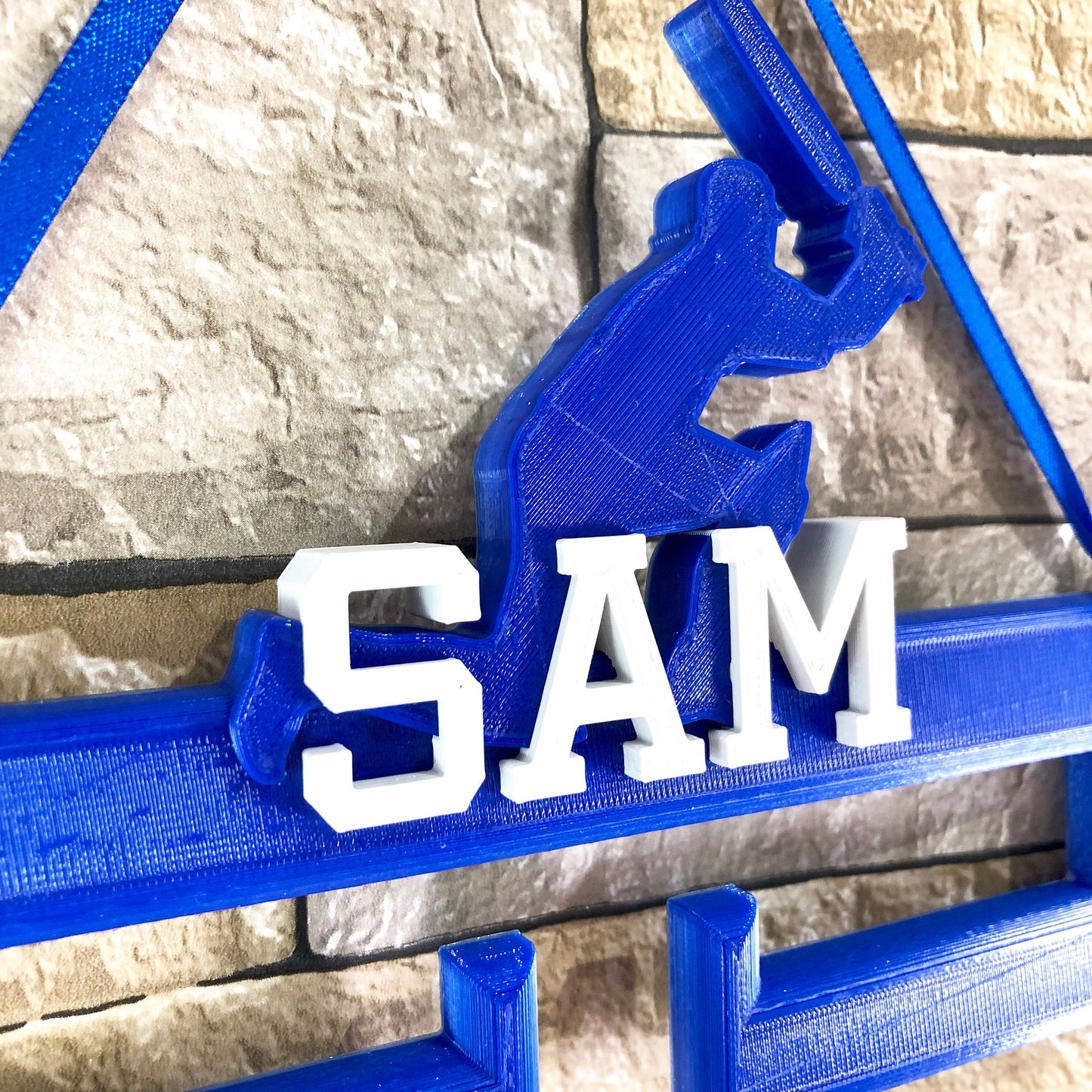 Cricket Medal Hanger/Holder - Personalised - 3D Printed - Batsman - Trophy - any Sport available