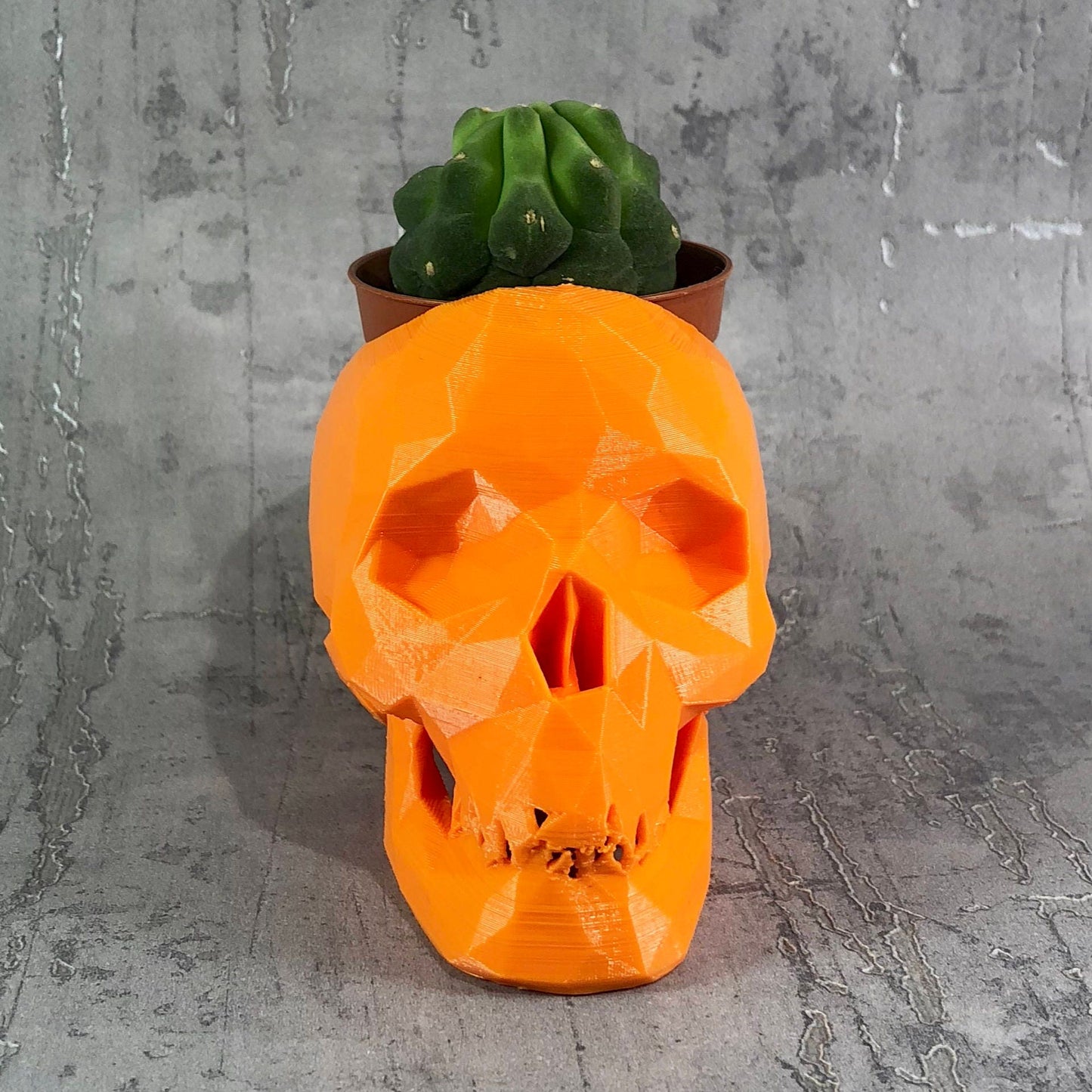 Skull Low Poly Cactus Plant Holder - Gothic - Desk Decor - Office Tidy - Gothic Wedding - Valentines Day - Home Decor - New Home Gift