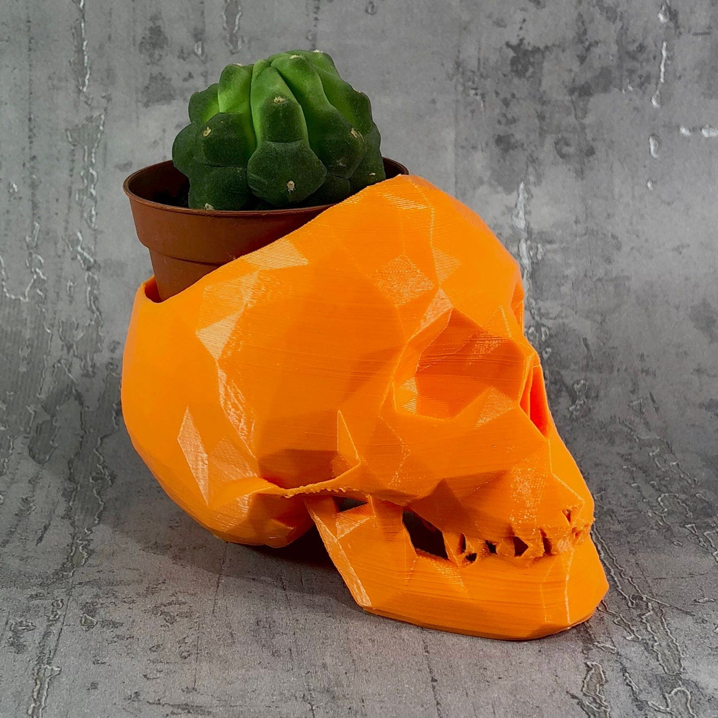 Skull Low Poly Cactus Plant Holder - Gothic - Desk Decor - Office Tidy - Gothic Wedding - Valentines Day - Home Decor - New Home Gift