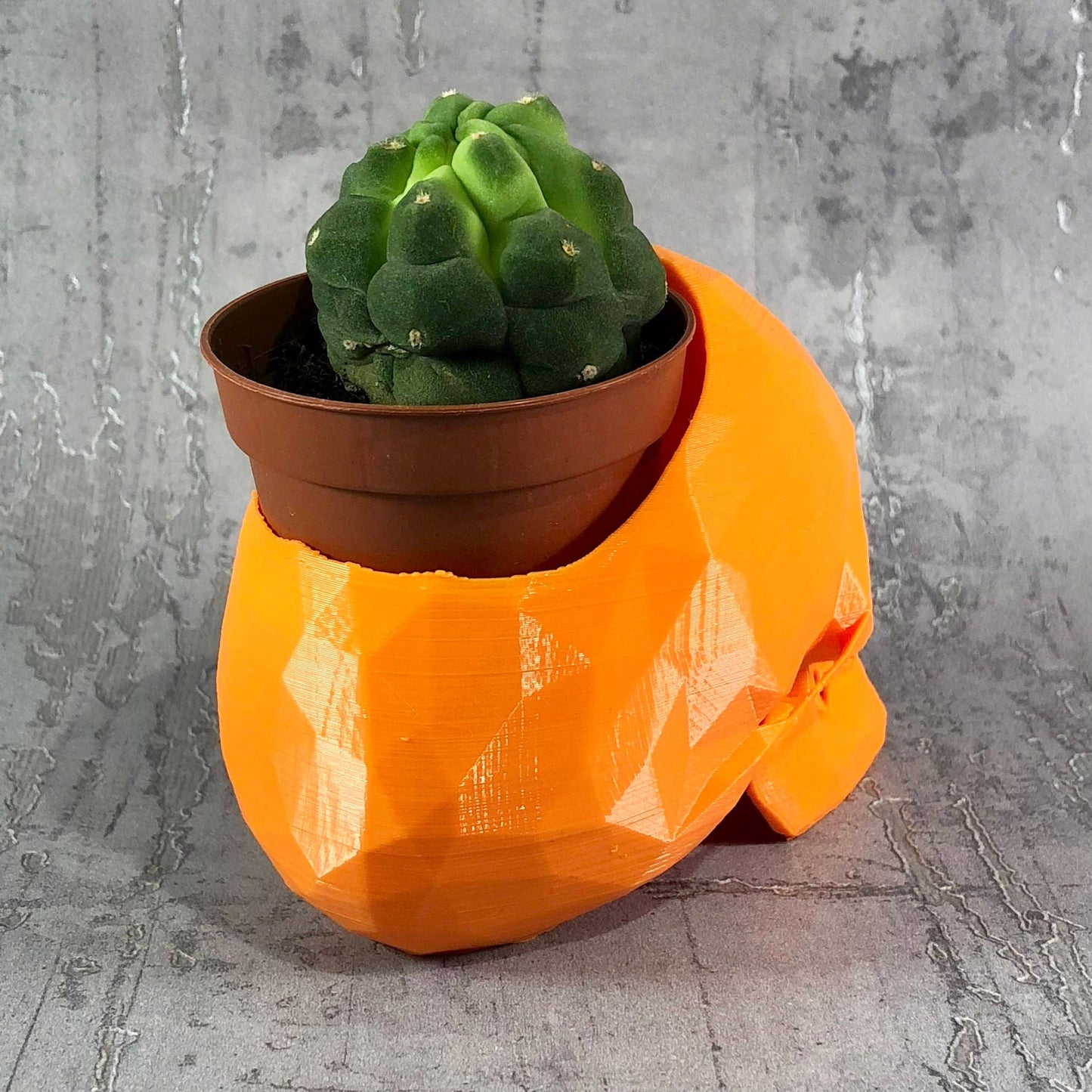 Skull Low Poly Cactus Plant Holder - Gothic - Desk Decor - Office Tidy - Gothic Wedding - Valentines Day - Home Decor - New Home Gift