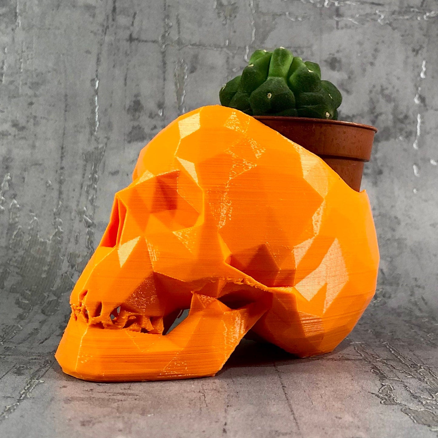 Skull Low Poly Cactus Plant Holder - Gothic - Desk Decor - Office Tidy - Gothic Wedding - Valentines Day - Home Decor - New Home Gift