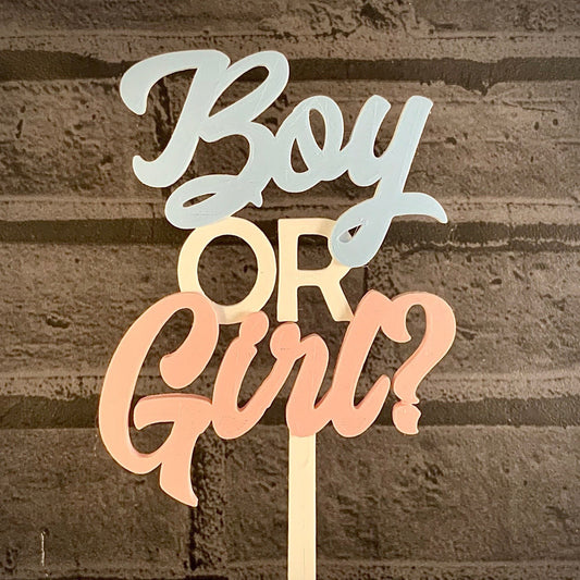 Gender Reveal Cake Topper -Boy or Girl- New Baby - Baby Shower - Cake Decorations - Party Decorations - Baby Boy/Girl - Pregnancy -Mum to Be