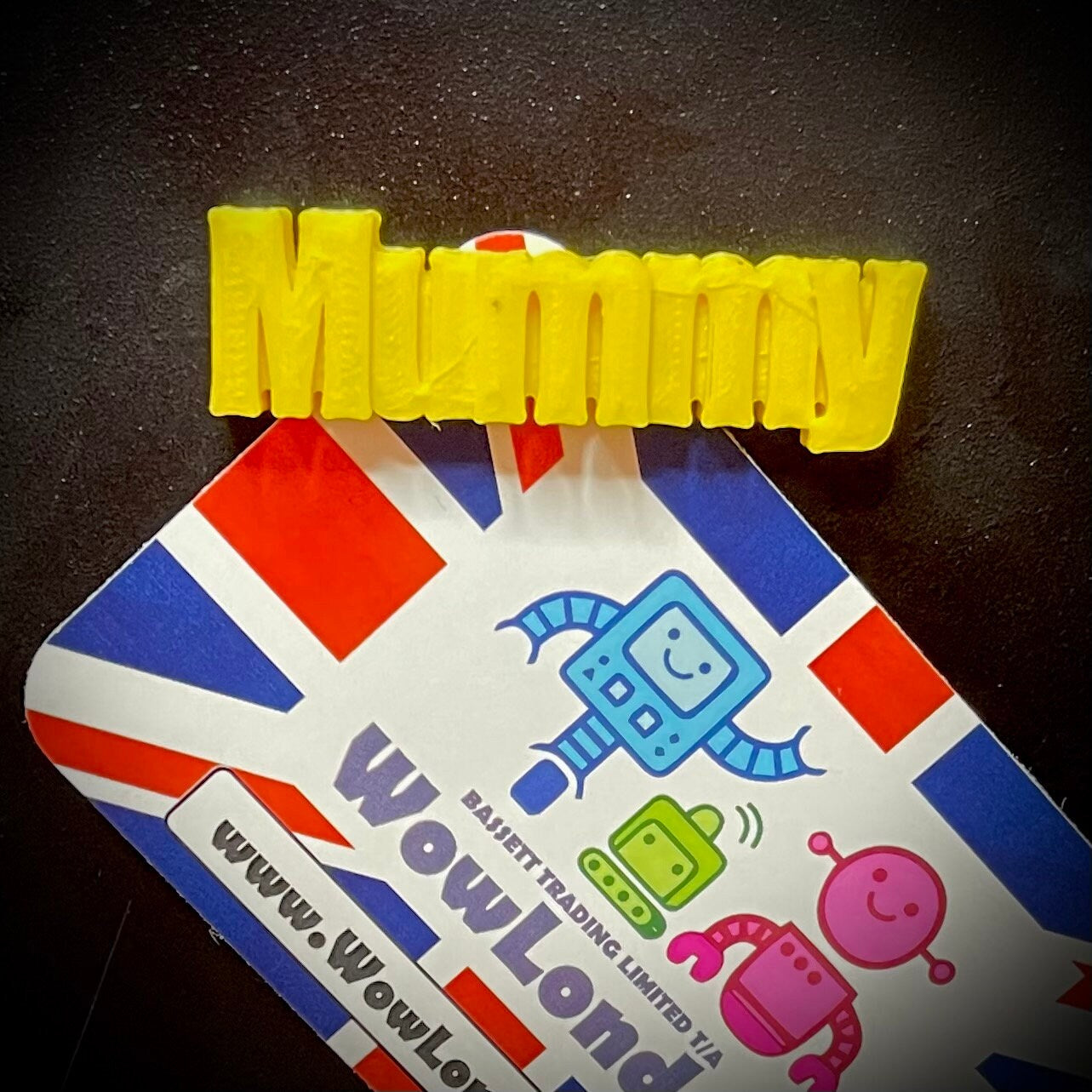 Fridge Magnet Personalised - 3D Printed Custom Name - Refrigerator - Party Bag Fillers - Desk Tidy - Under 5 Pounds - Small Gifts